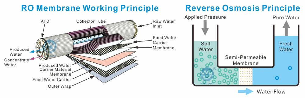 Marin Small Seawater Desalination Ultrafilter Equipment