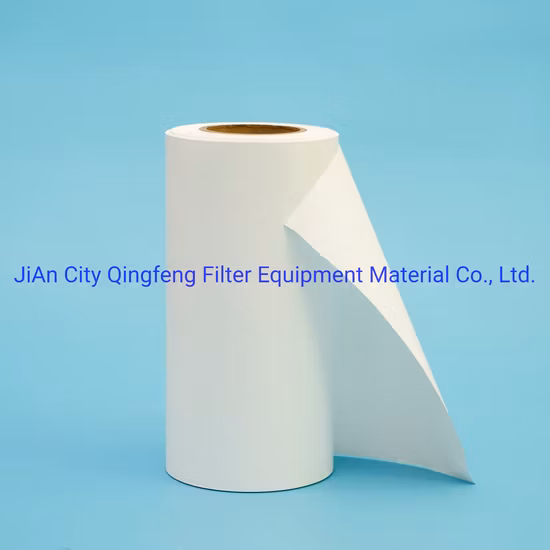 100% Flushed with Ultra-Pure Di Water and Are Integrity Tested 0.65um Pes Filter Membrane for Food and Beverage