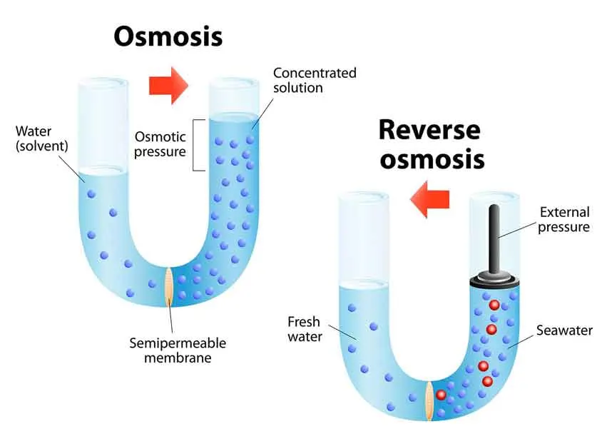 Industry Water Treatment Equipment Reverse Osmosis Membrane 4040 RO Membrane