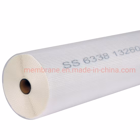 Sanitary and Compact Full-Fit Design RO Membrane for Food, Beverage, Dairy, Biotech and Pharmaceutical Industries / 8038/6338